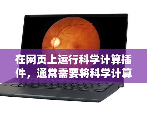 在网页上运行科学计算插件，通常需要将科学计算工具集成到网页框架中，比如HTML、JavaScript或者CSS。以下是一些可能的步骤和方法