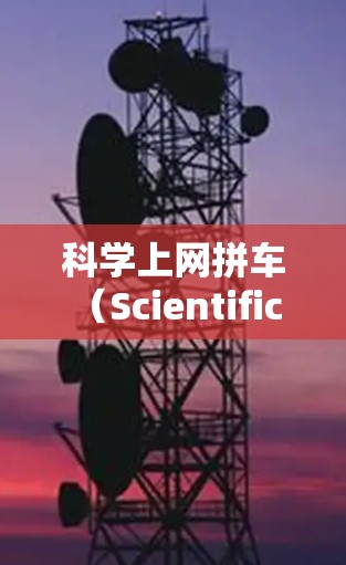 科学上网拼车（Scientific Internet拼车）是一门结合科学研究和技术的新兴领域，旨在利用互联网技术提升科学研究效率和效果。以下是对这一概念的详细分析