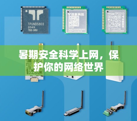 暑期安全科学上网，保护你的网络世界