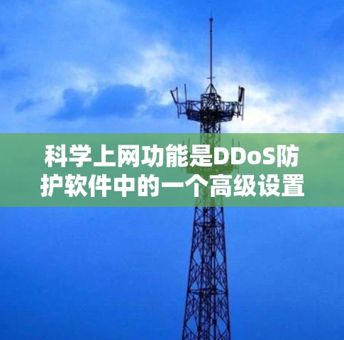 科学上网功能是DDoS防护软件中的一个高级设置，用于自动配置网站的访问权限。以下是科学上网的详细步骤和设置方法