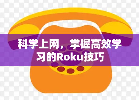 科学上网，掌握高效学习的Roku技巧