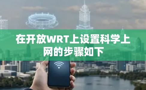 在开放WRT上设置科学上网的步骤如下