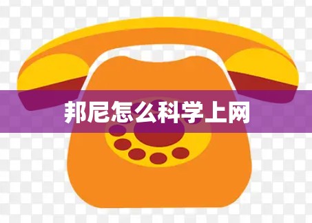 邦尼怎么科学上网