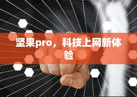 坚果pro，科技上网新体验