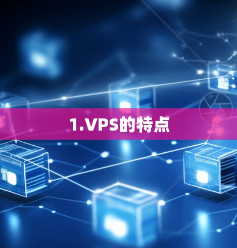 1.VPS的特点