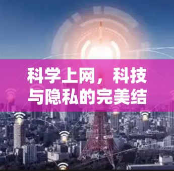 科学上网,科技与隐私的完美结合