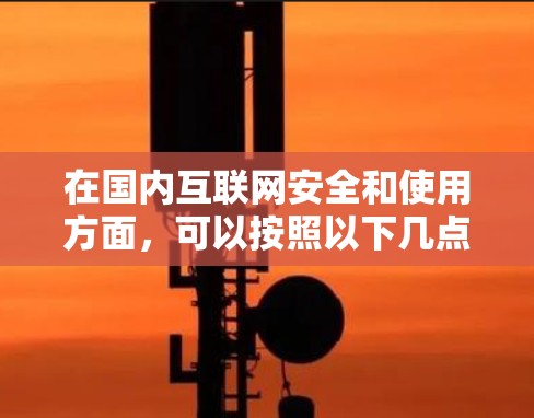 在国内互联网安全和使用方面，可以按照以下几点进行科学上网