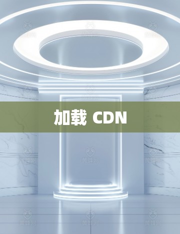 加载 CDN
