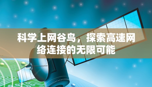 科学上网谷鸟，探索高速网络连接的无限可能