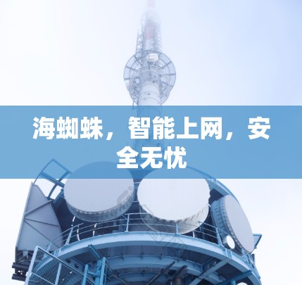 海蜘蛛,智能上网,安全无忧