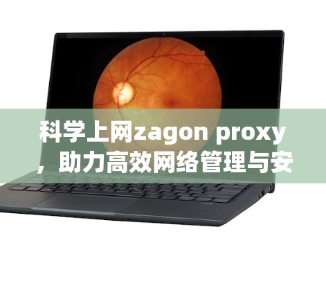 科学上网zagon proxy，助力高效网络管理与安全