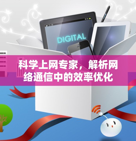 科学上网专家，解析网络通信中的效率优化