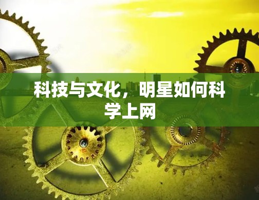 科技与文化,明星如何科学上网