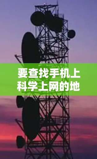 要查找手机上科学上网的地方，您可以按照以下步骤操作