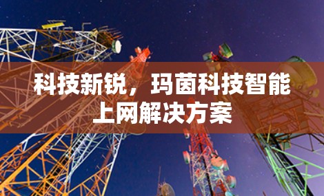 科技新锐，玛茵科技智能上网解决方案