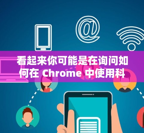 看起来你可能是在询问如何在 Chrome 中使用科学工具或软件来处理与飞机相关的科学上网需求。以下是一些可能的解释和帮助