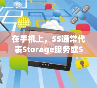 在手机上，SS通常代表Storage服务或Storage服务相关的选项。具体含义可能如下