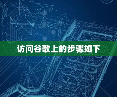 访问谷歌上的步骤如下