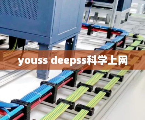 youss deepss科学上网