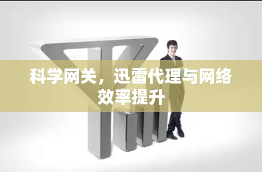 科学网关，迅雷代理与网络效率提升