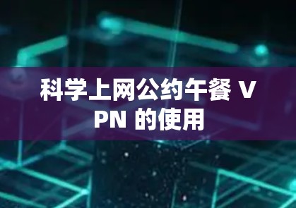 科学上网公约午餐 VPN 的使用