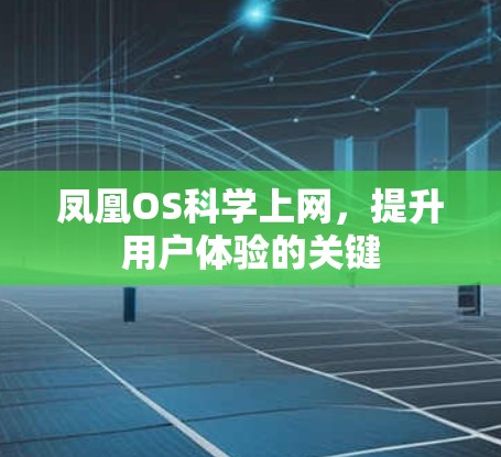 凤凰OS科学上网，提升用户体验的关键