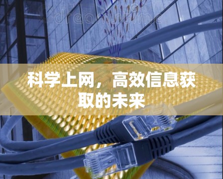 科学上网，高效信息获取的未来