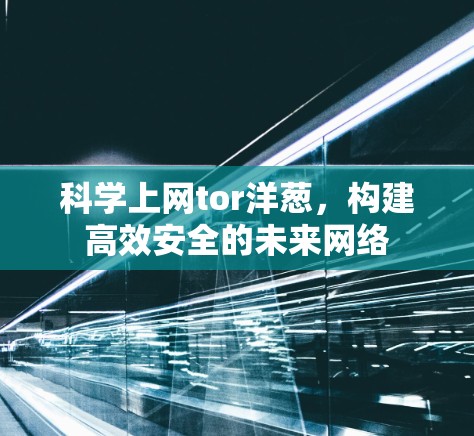科学上网tor洋葱，构建高效安全的未来网络