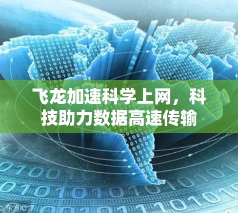 飞龙加速科学上网，科技助力数据高速传输
