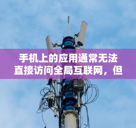 手机上的应用通常无法直接访问全局互联网，但有些应用和网站会提供全局访问功能，如下