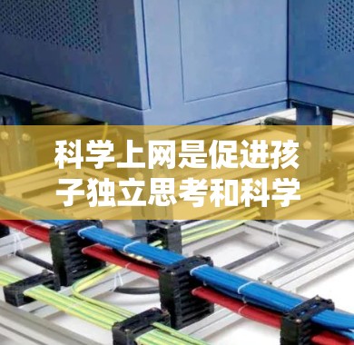 科学上网是促进孩子独立思考和科学素养的重要途径。以下是一个有条理的指导过程，帮助孩子科学上网
