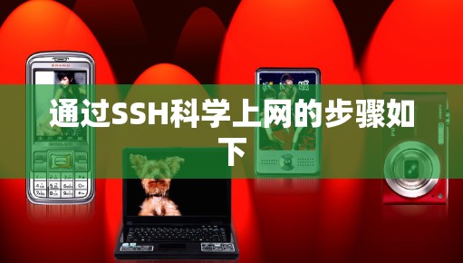 通过SSH科学上网的步骤如下