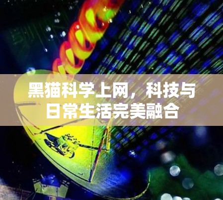 黑猫科学上网，科技与日常生活完美融合