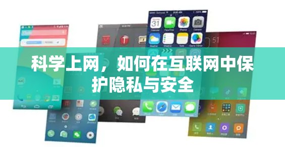 科学上网,如何在互联网中保护隐私与安全