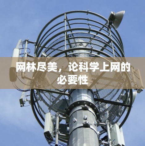 网林尽美,论科学上网的必要性