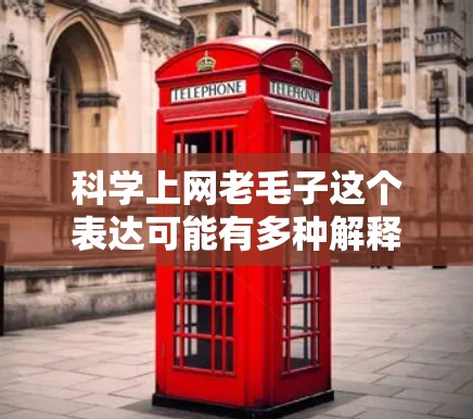 科学上网老毛子这个表达可能有多种解释，具体含义取决于上下文。以下是一些可能的解释