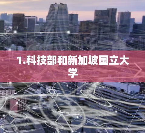 1.科技部和新加坡国立大学