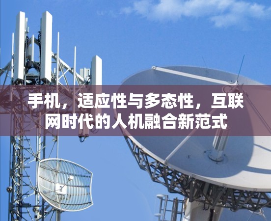 手机，适应性与多态性，互联网时代的人机融合新范式