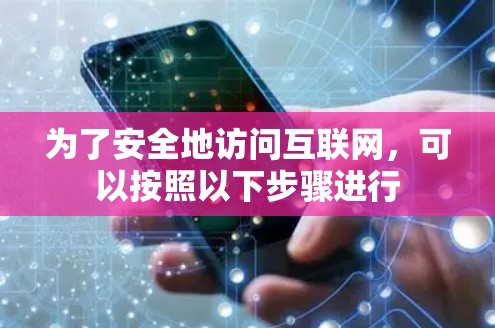 为了安全地访问互联网，可以按照以下步骤进行