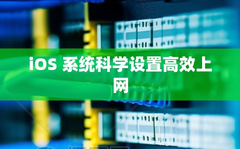 iOS 系统科学设置高效上网
