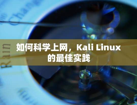 如何科学上网,Kali Linux的最佳实践 如何科学上网,Kali Linux的最佳实践