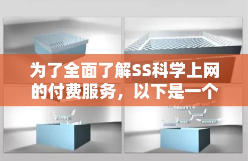 为了全面了解SS科学上网的付费服务，以下是一个结构化的总结