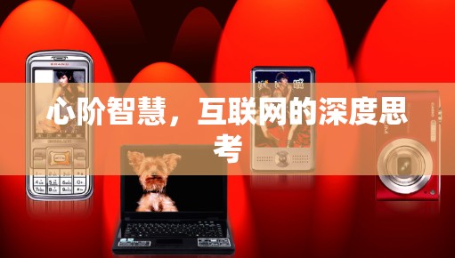 心阶智慧，互联网的深度思考