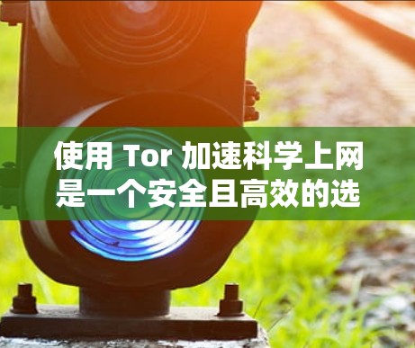 使用 Tor 加速科学上网是一个安全且高效的选择,以下是对该过程的分步说明