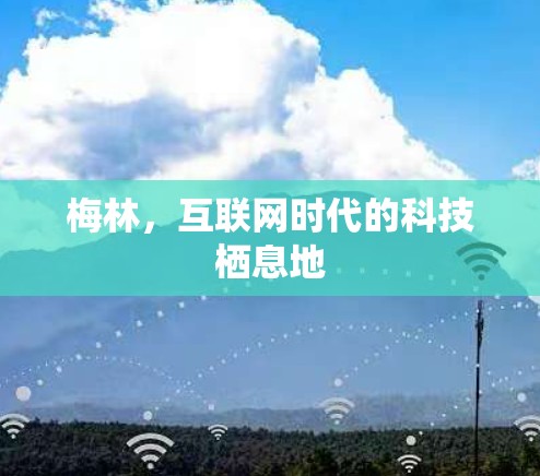 梅林，互联网时代的科技栖息地