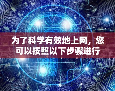 为了科学有效地上网，您可以按照以下步骤进行规划和操作