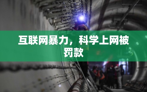互联网暴力，科学上网被罚款