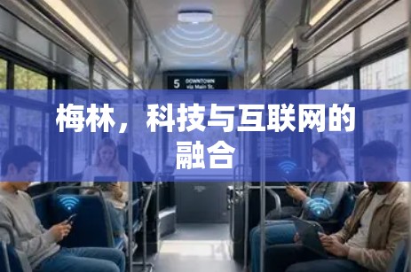 梅林，科技与互联网的融合