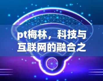 pt梅林，科技与互联网的融合之旅