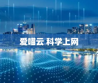 爱喵云 科学上网